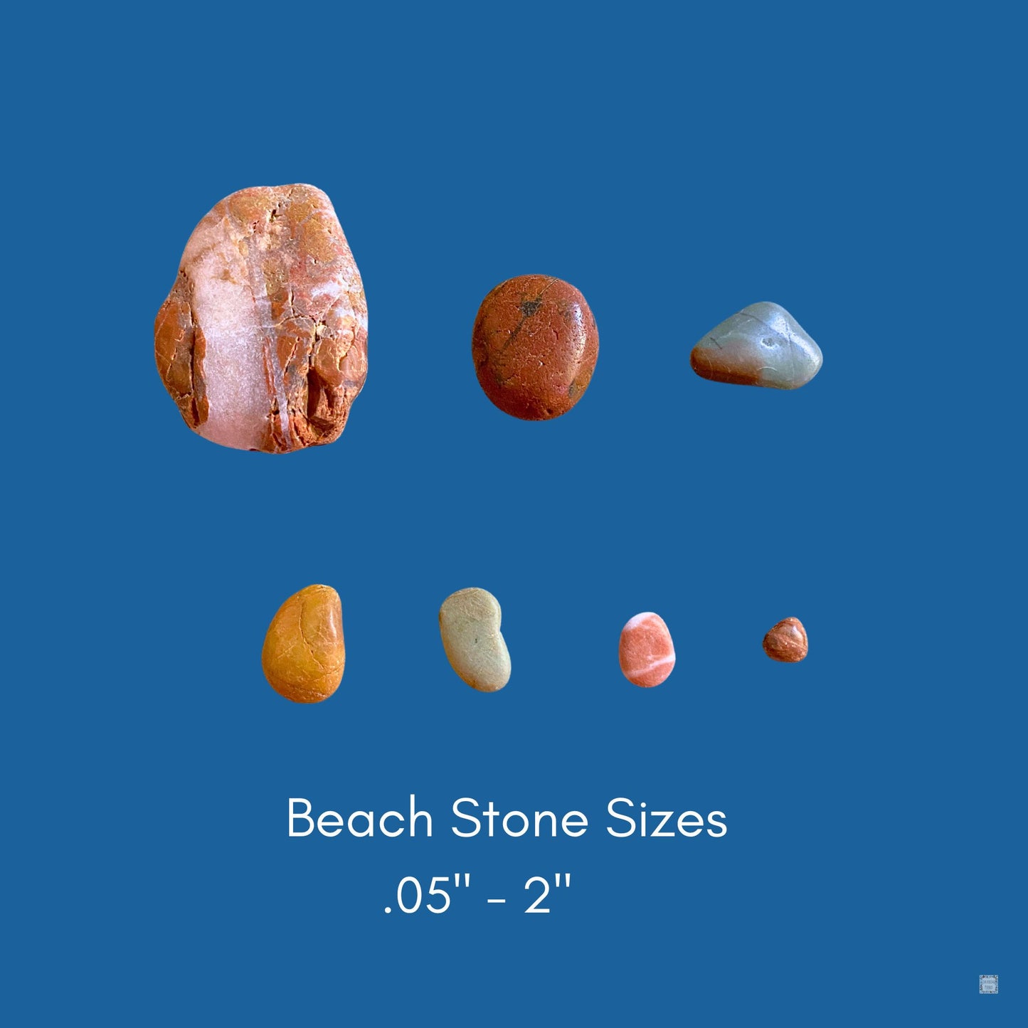 Beach stone size examples 0.5"-2"