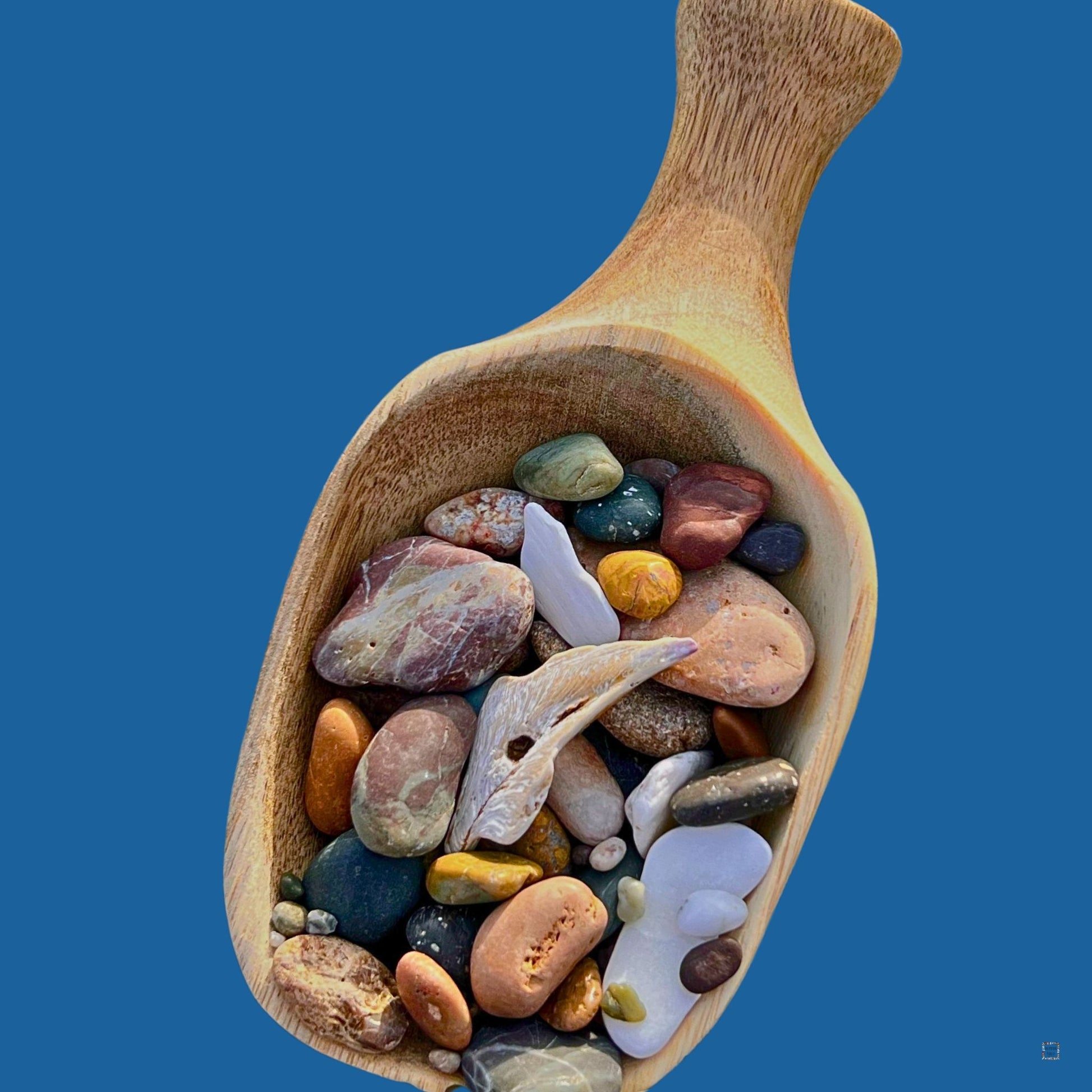 Seashells beach stones and driftwood in giant wooden scoop