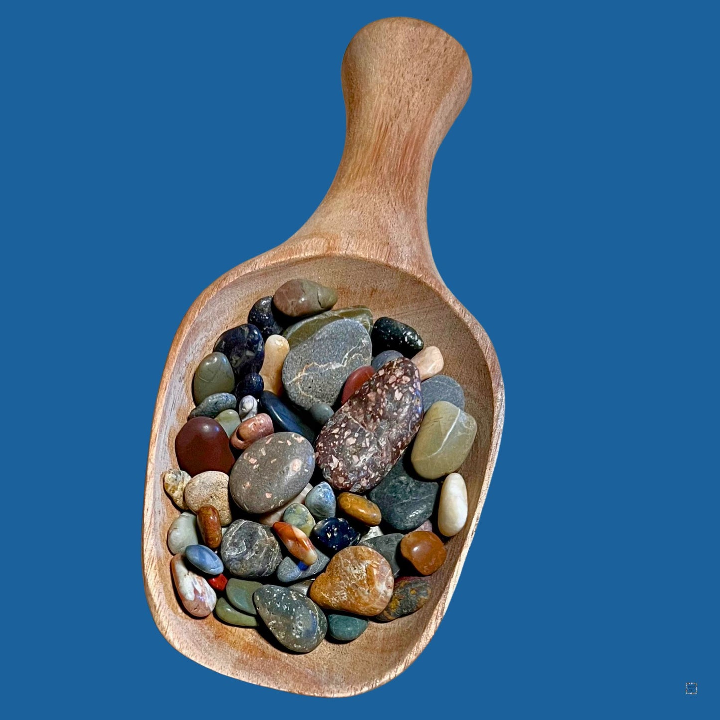 Colorful sea pebbles in giant wood scoop